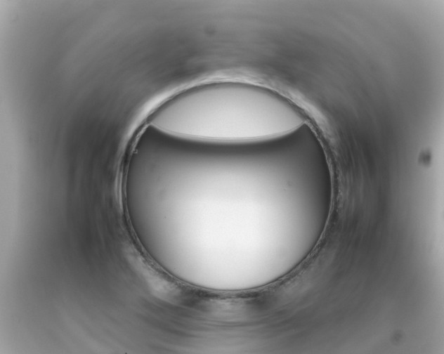 X0000092051272200709121018