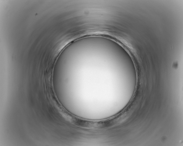 X0000092051273200709121018