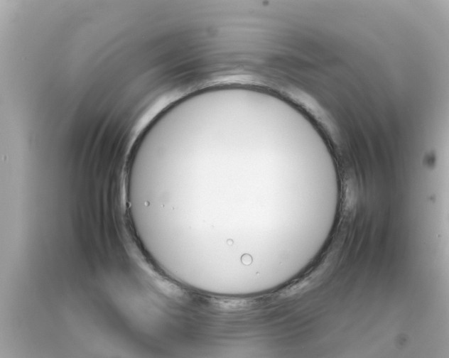 X0000092051274200709121018