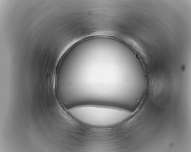 X0000092051276200709121018