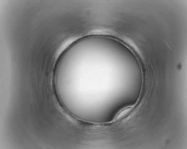 X0000092051277200709121018