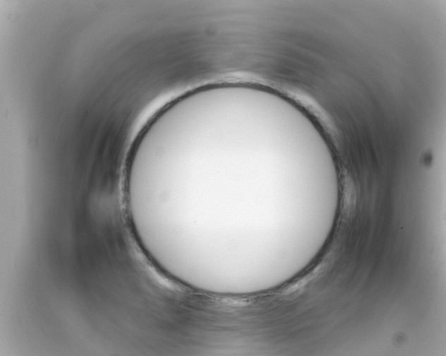X0000092051278200709121018