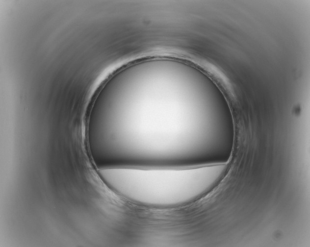 X0000092051280200709121018