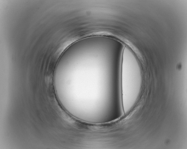 X0000092051281200709121018