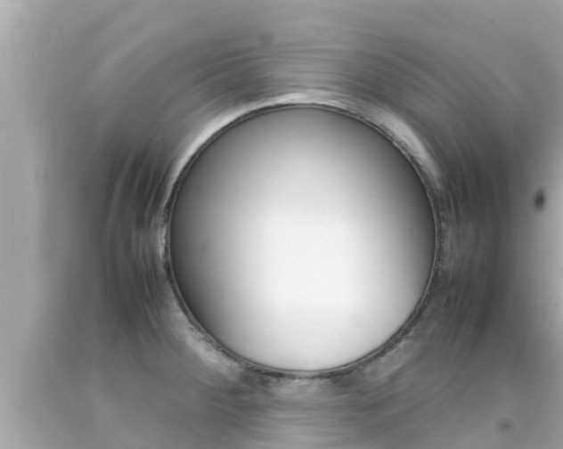 X0000092051284200709121017