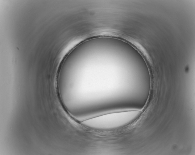X0000092051285200709121017