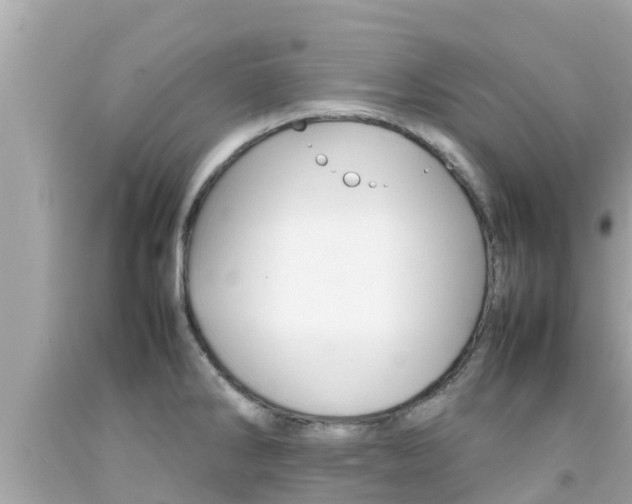 X0000092051286200709121017