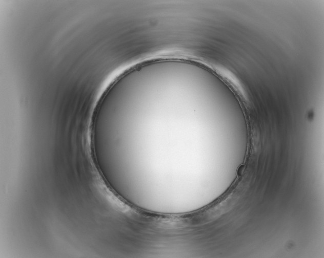 X0000092051288200709121017