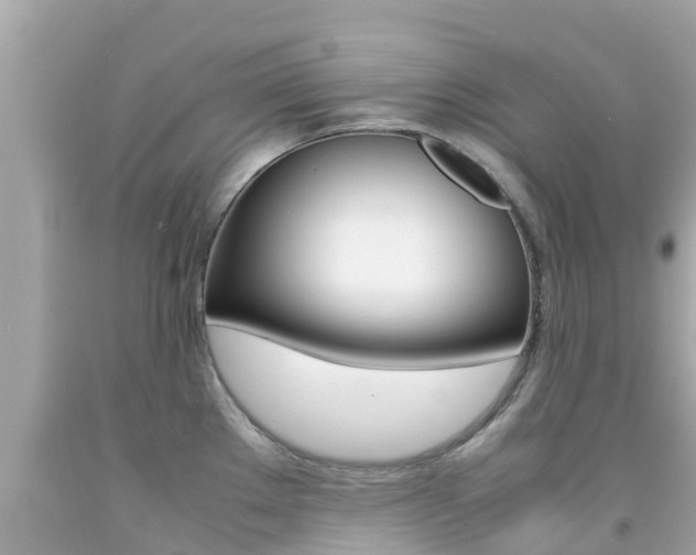 X0000092051289200709121017