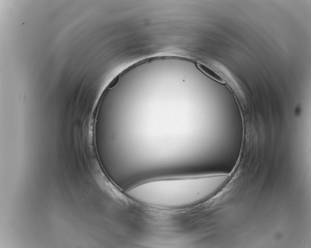 X0000092051292200709121017