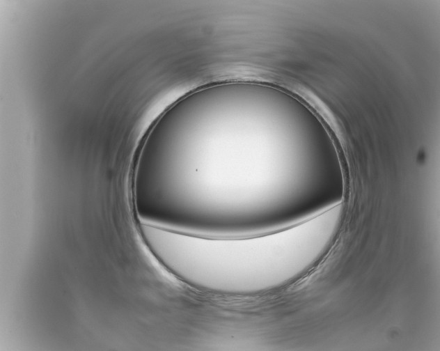 X0000092051293200709121017