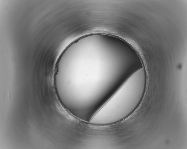 X0000092051296200709121017