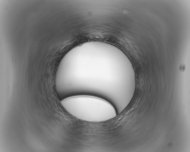 X0000092051297200709121017