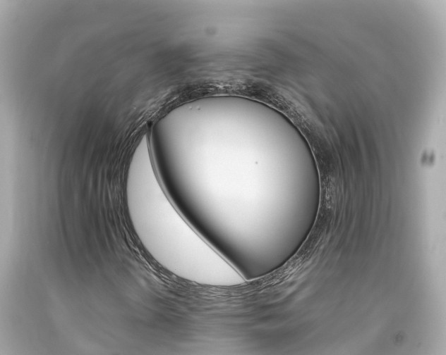 X0000092051298200709121017