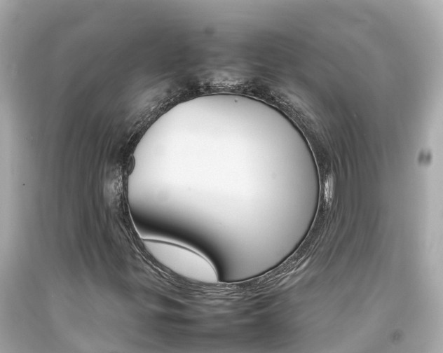 X0000092051299200709121017