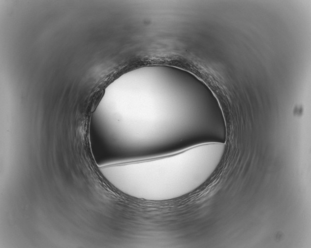 X0000092051300200709121017