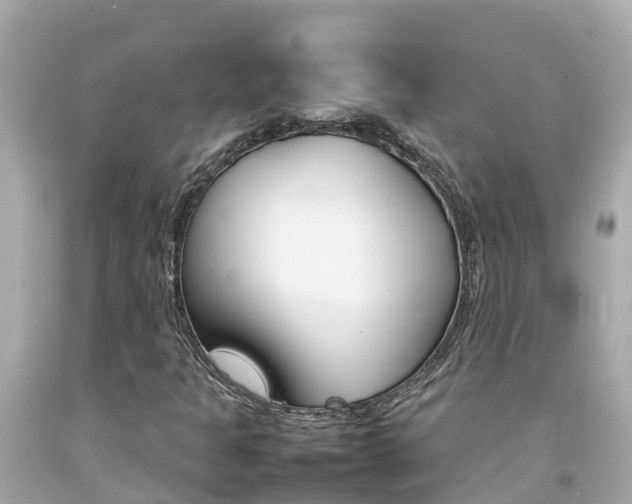 X0000092051301200709121017