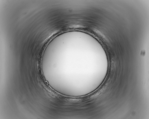 X0000092051305200709121017