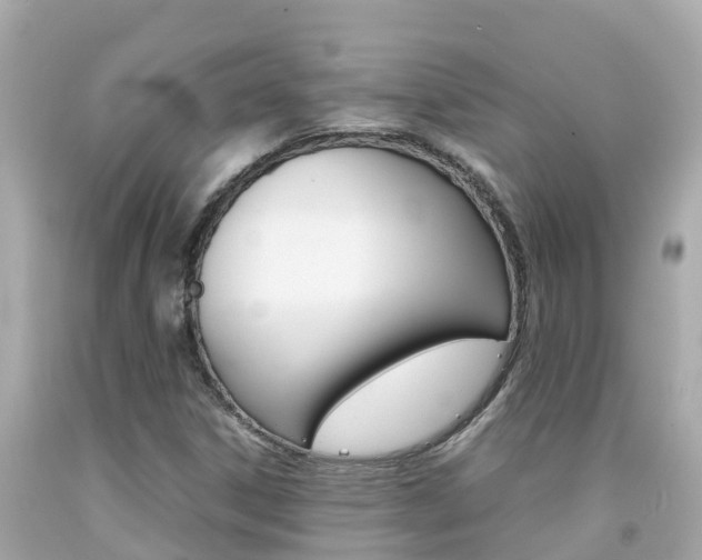 X0000092051306200709121017