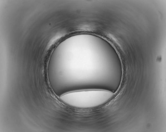 X0000092051307200709121017