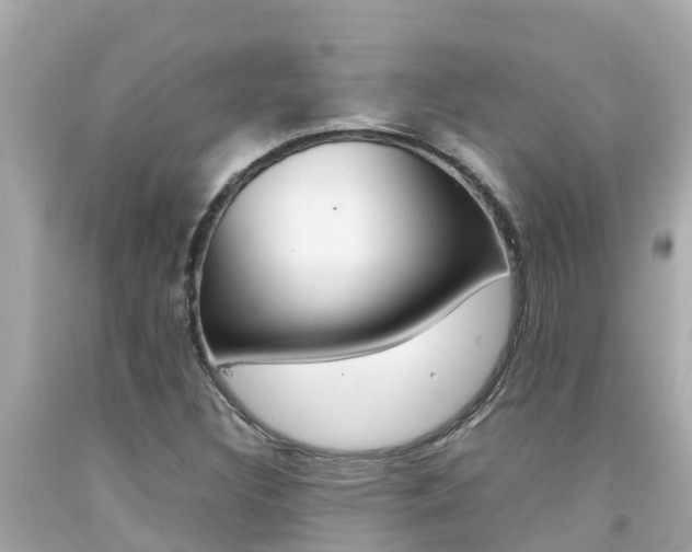 X0000092051308200709121017