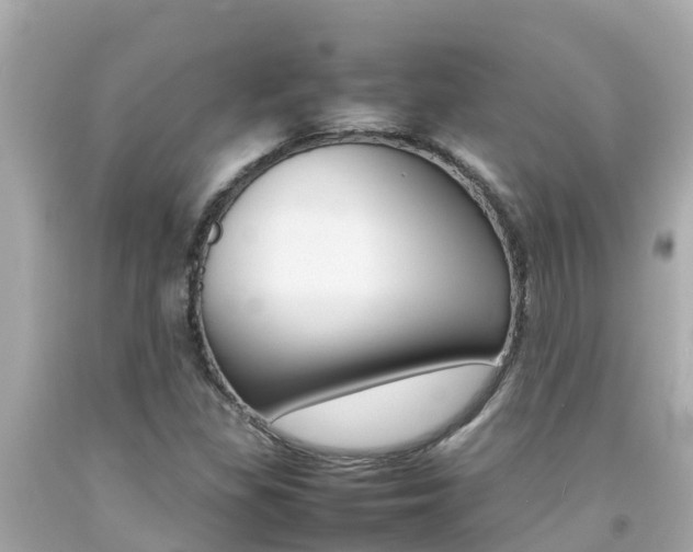 X0000092051309200709121017