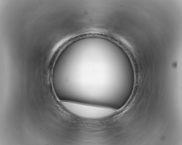 X0000092051310200709121017