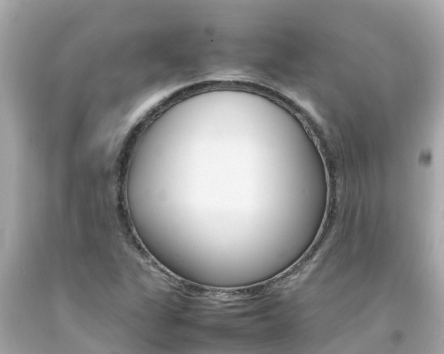 X0000092051311200709121017
