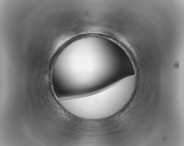 X0000092051312200709121017