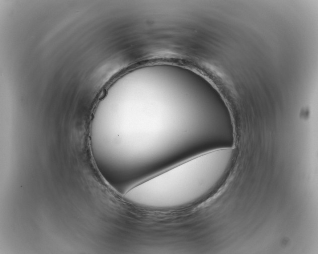 X0000092051313200709121017