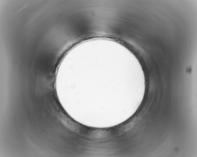 X0000092051314200709121017