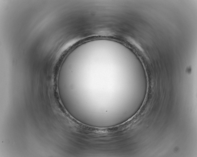X0000092051315200709121017