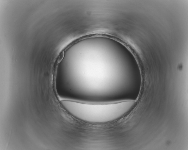 X0000092051316200709121017