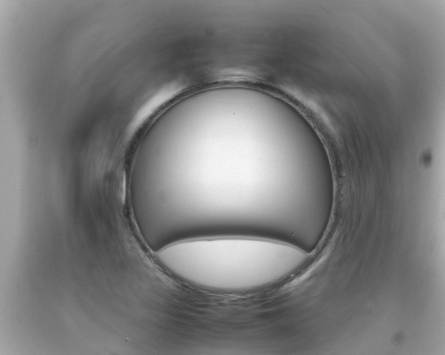 X0000092051317200709121017
