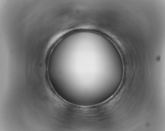 X0000092051319200709121017