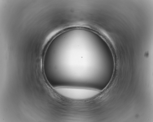 X0000092051320200709121017