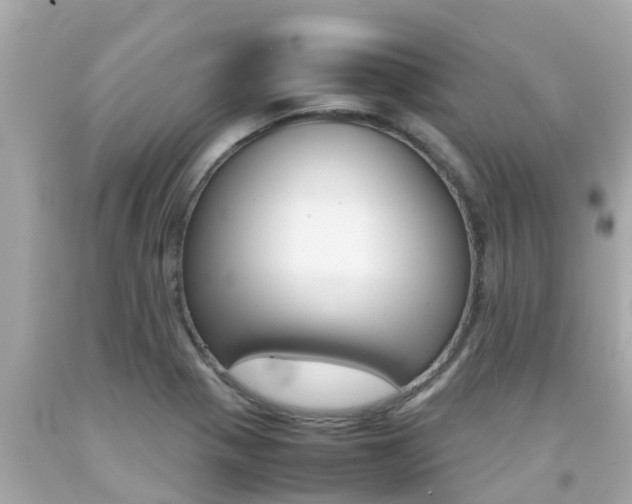 X0000092051321200709121017