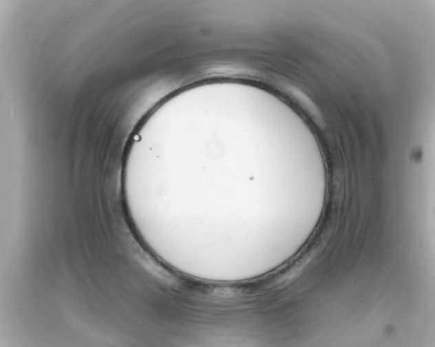 X0000092051322200709121017