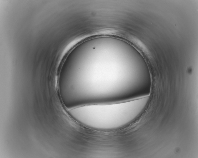 X0000092051324200709121017