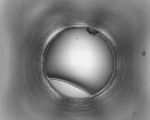 X0000092051325200709121017
