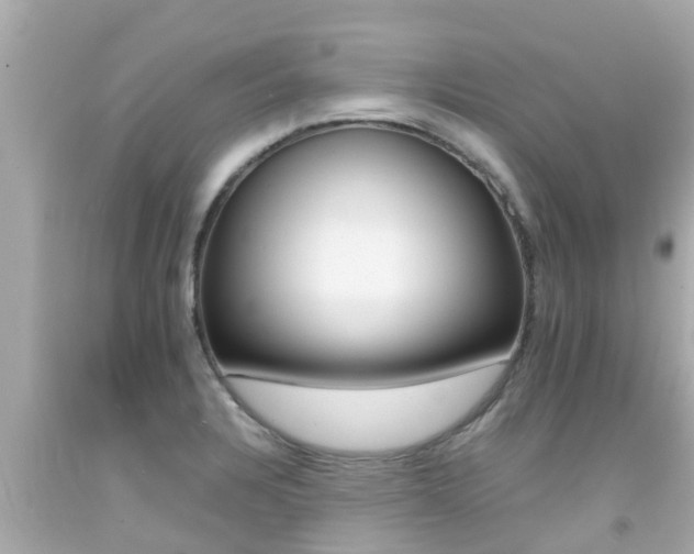 X0000092051328200709121017