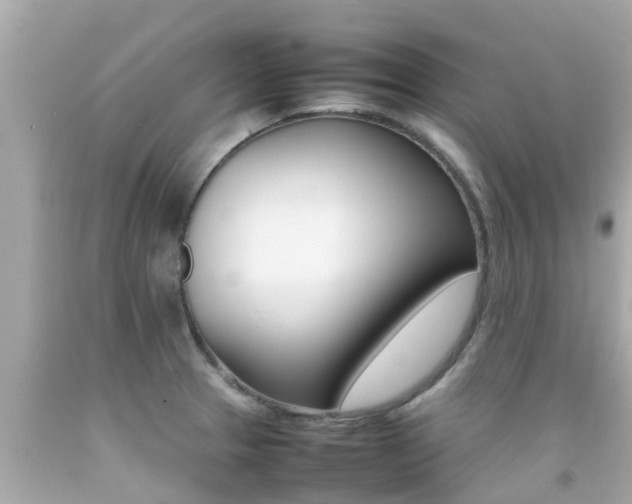 X0000092051329200709121017