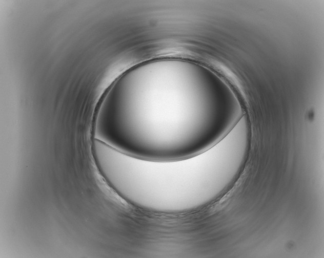 X0000092051330200709121017