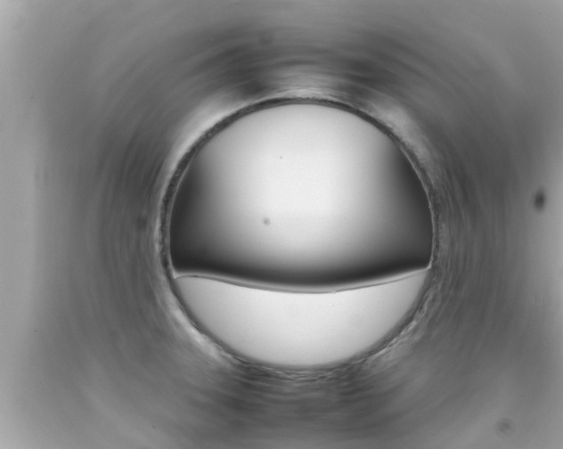 X0000092051331200709121017