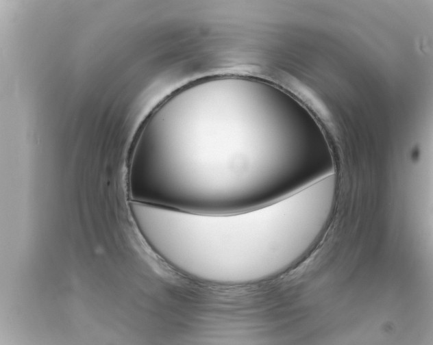 X0000092051332200709121017