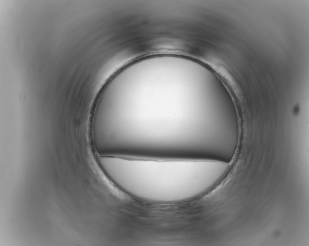 X0000092051333200709121017