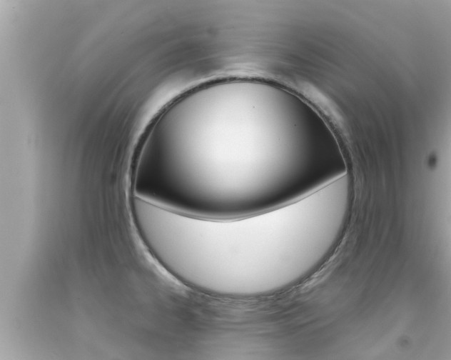 X0000092051334200709121017