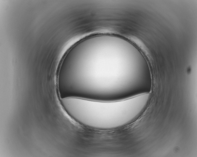 X0000092051335200709121017