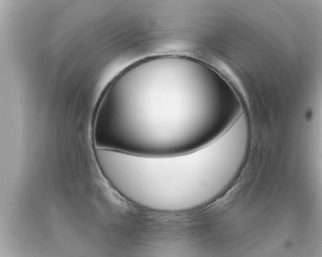 X0000092051336200709121017