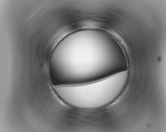 X0000092051337200709121017